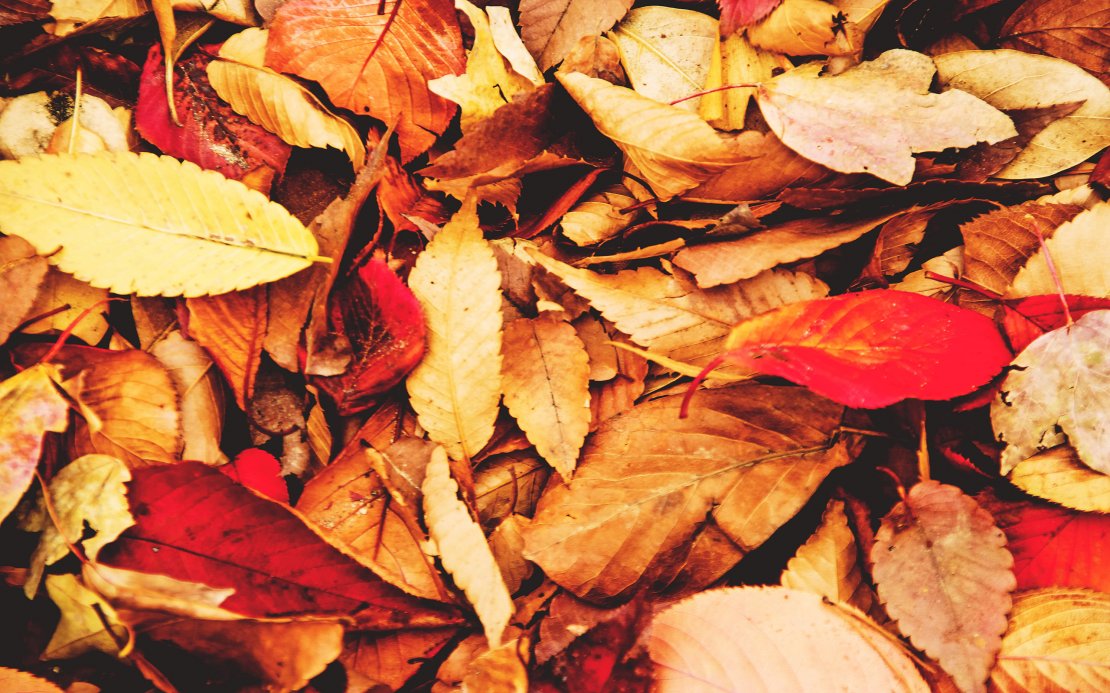 秋天唯美高清风景图片桌面壁纸