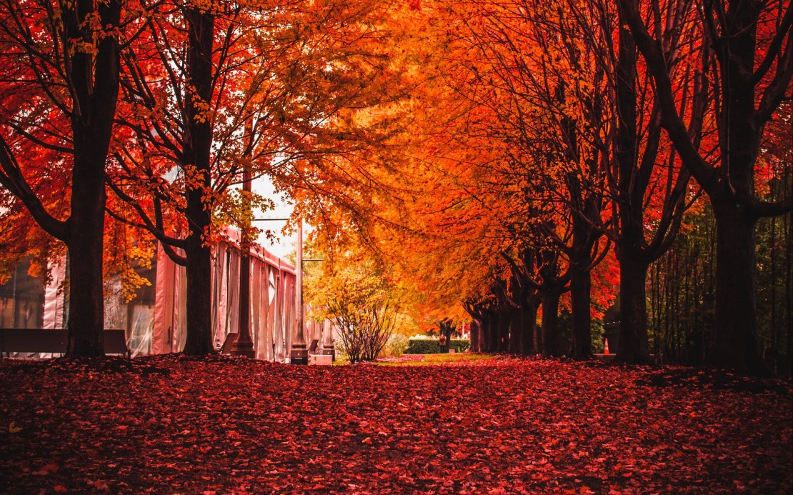 秋天唯美自然风光高清桌面壁纸