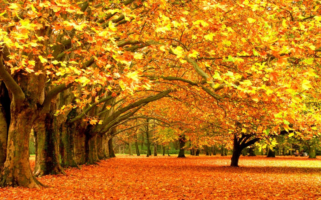 秋天唯美自然风光高清桌面壁纸