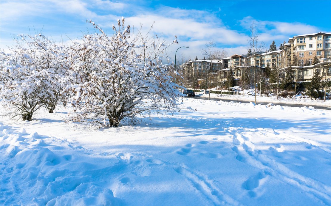 冬季加拿大美景高清桌面壁纸
