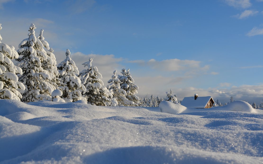 冬天雪景壁纸高清图片唯美